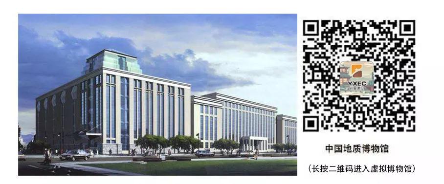 巖星建設丨線(xiàn)上博物館,感受不一樣的傳承插圖(1) 巖星建設丨線(xiàn)上博物館,感受不一樣的傳承插圖(1)